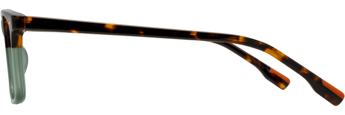 Scout